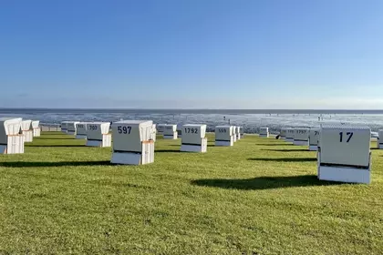 7CE68019 5DA2 48BD 8817 8B0EE472D5E4