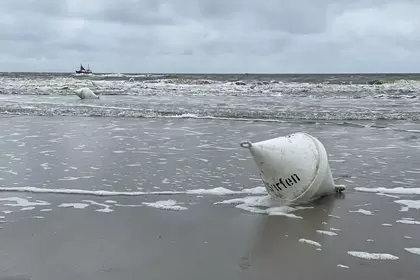 9F1DC278 645B 4C72 9969 1D8801FD689E