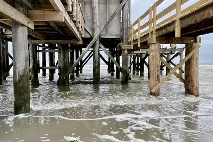 BDDD4453 B36D 46A1 90C2 885EEE8B8B9A