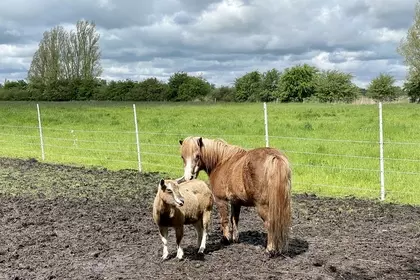 F4F2B913 7CF6 4206 801E 80143789B95F