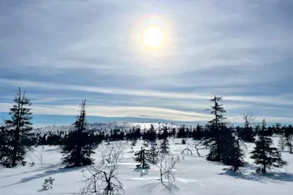 Husky Tour und Riisitunturi Nationalpark 20