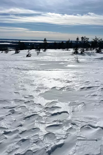 Husky Tour und Riisitunturi Nationalpark 57