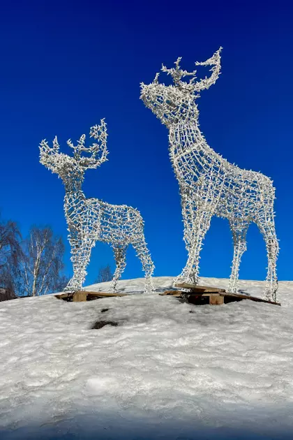 Rovaniemi 101