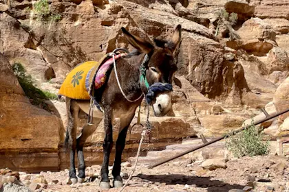 Jordanien 299