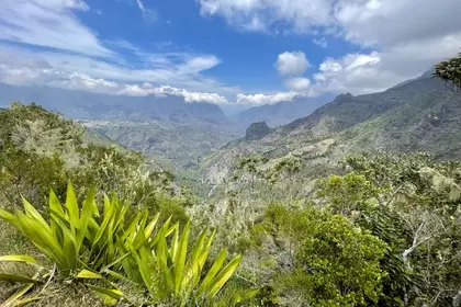 0A7839BD EA9C 49A2 B2A9 51C1EBC08B74