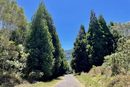 1A0CE253 F0E0 4877 A8DB 37C6BD5506AD