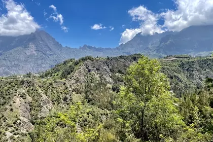 1DC0EBA0 F64C 4924 A794 BA83E10ACACE