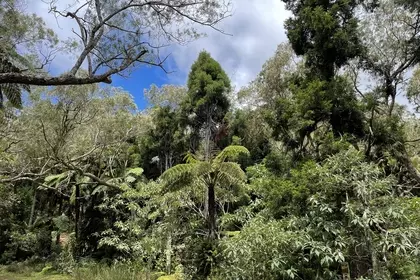 2C00A997 4D96 4726 BF08 D7B2156366B5