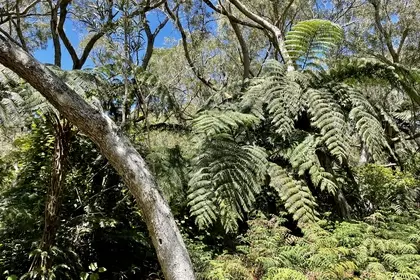 3EC12EC5 57A8 43E2 9F37 52154FB17CE9