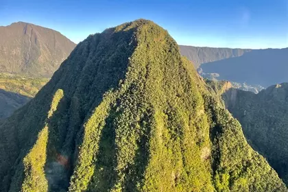 49023D98 0527 4FB5 9F52 FFE99B608A45