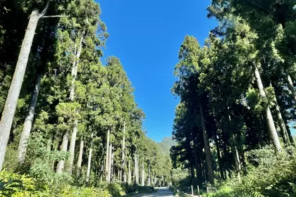 FA7F01F8 F21C 4ED5 9142 BB65F1D37A80