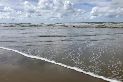 C77769CC FB9B 423C 9936 F6074007C13F