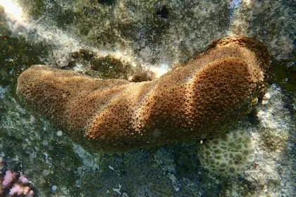 C7945DBC 9B57 4356 B608 A2908AC7EF98