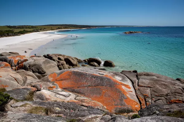 Rot gefärbte Steine vor türkisem Wasser in der Bay of Fires auf Tasmanien