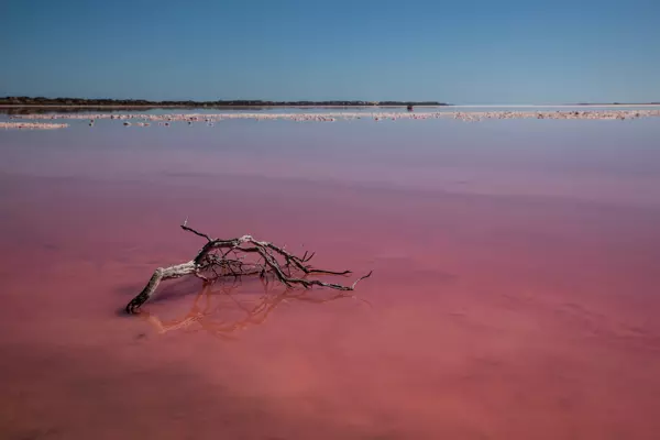 Der Pink Lake in der Nähe von George Bay in Westaustralien