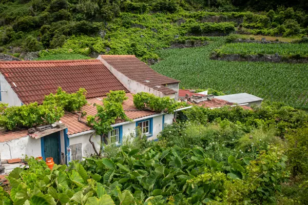 Typisches Gehöft auf dem Weg von der Fajã dos Vimes nach Fajã dos Bodes auf Sao Jorge