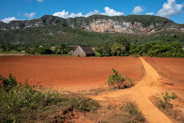Fruchbare Landschaft in Vinales im Westen Kubas