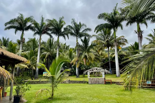 Palmenlandschaft im Maison du Coco auf Reunion