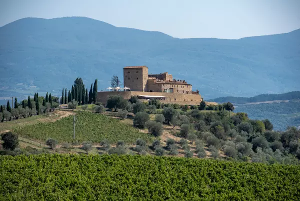 Die Toskana ist geprägt von Olivenhainen und Weinbergen - wunderschön