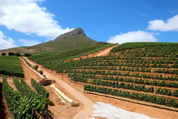 Weinberge rund um Stellenbosch, Südafrika