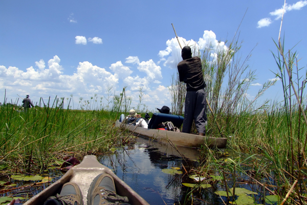 Bootstour in einem Einbau durchs Okavangodelta, Botswana