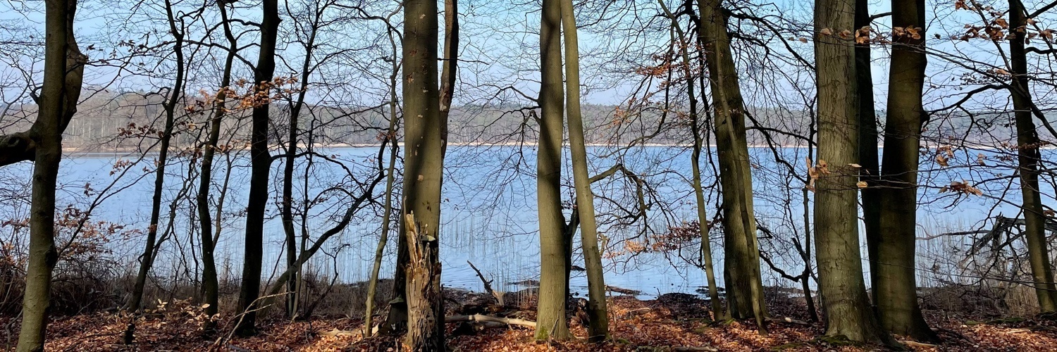Fasten, Wandern und Yoga auf dem Fastenhof Behm an der Brandburgischen Seenplatte, Plötzensee, Flecken-Zechlin